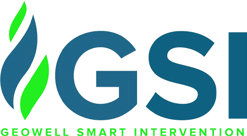 GSI — Geowell Smart Intervention